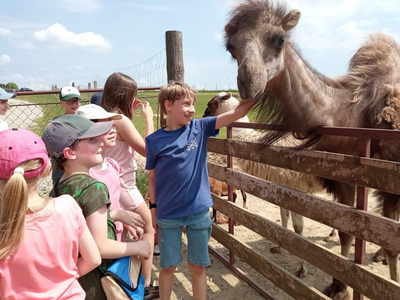 MicrosoftTeams-image (11)